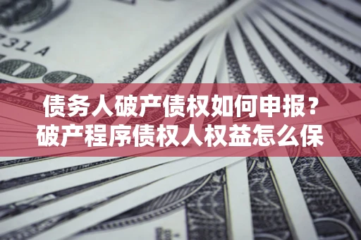 北京债务人破产债权如何申报？破产程序债权人权益怎么保障？
