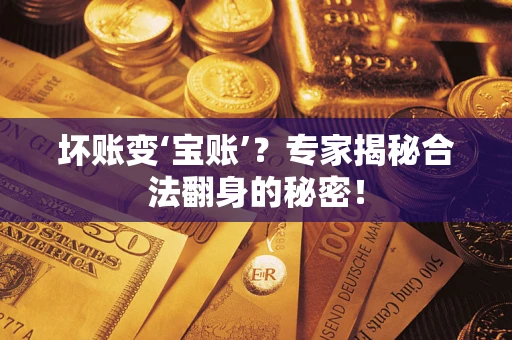 北京坏账变‘宝账’？专家揭秘合法翻身的秘密！
