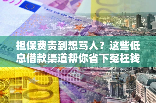 北京担保费贵到想骂人？这些低息借款渠道帮你省下冤枉钱