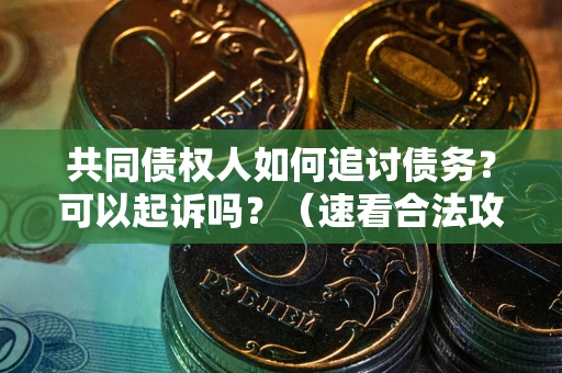 北京共同债权人如何追讨债务？可以起诉吗？（速看合法攻略）